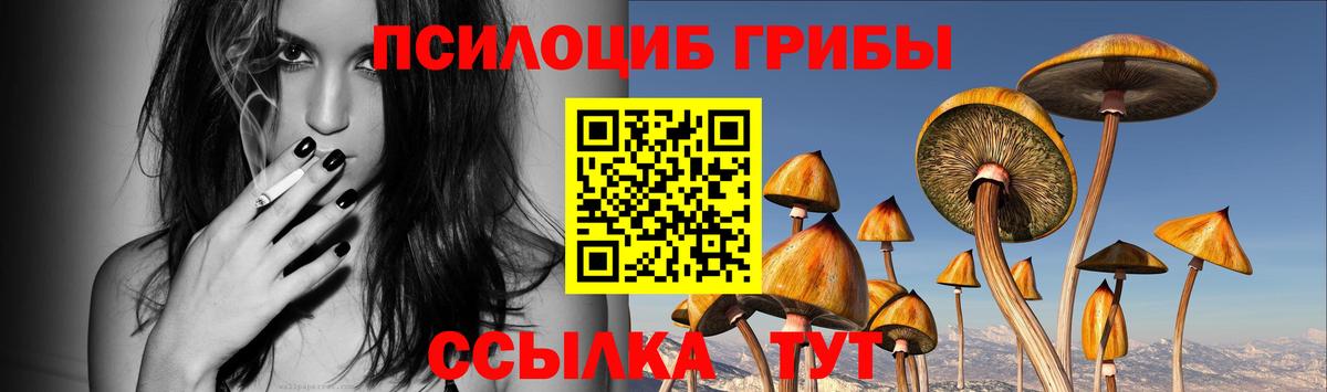 Галлюциногенные грибы прущие грибы Кинешма